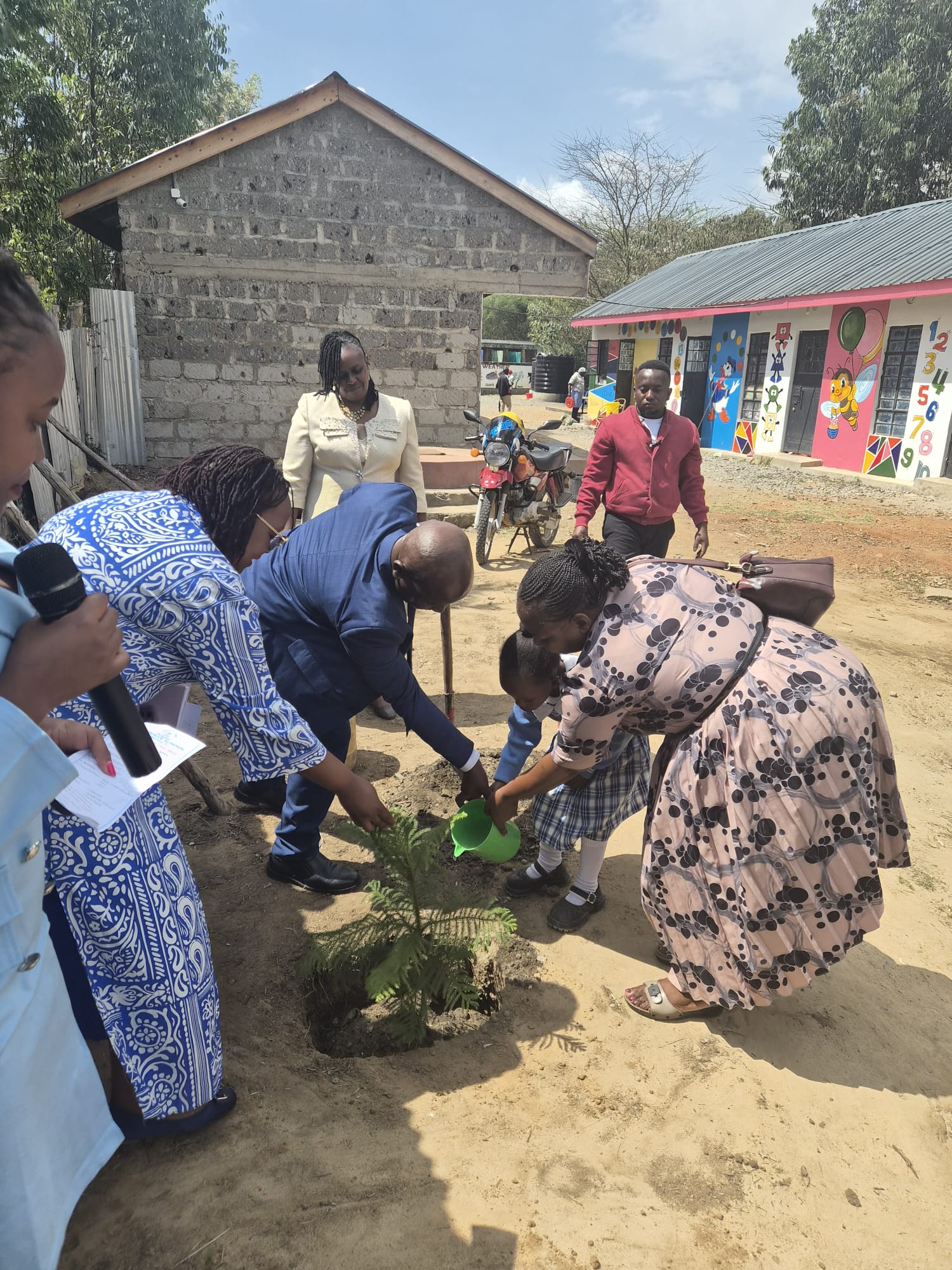 Tree planting activity